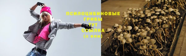 apvp Алексеевка
